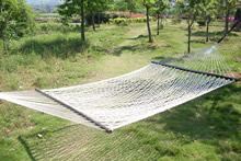 Hammock