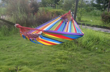 Hammock