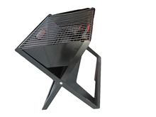 Grill/BBQ grill